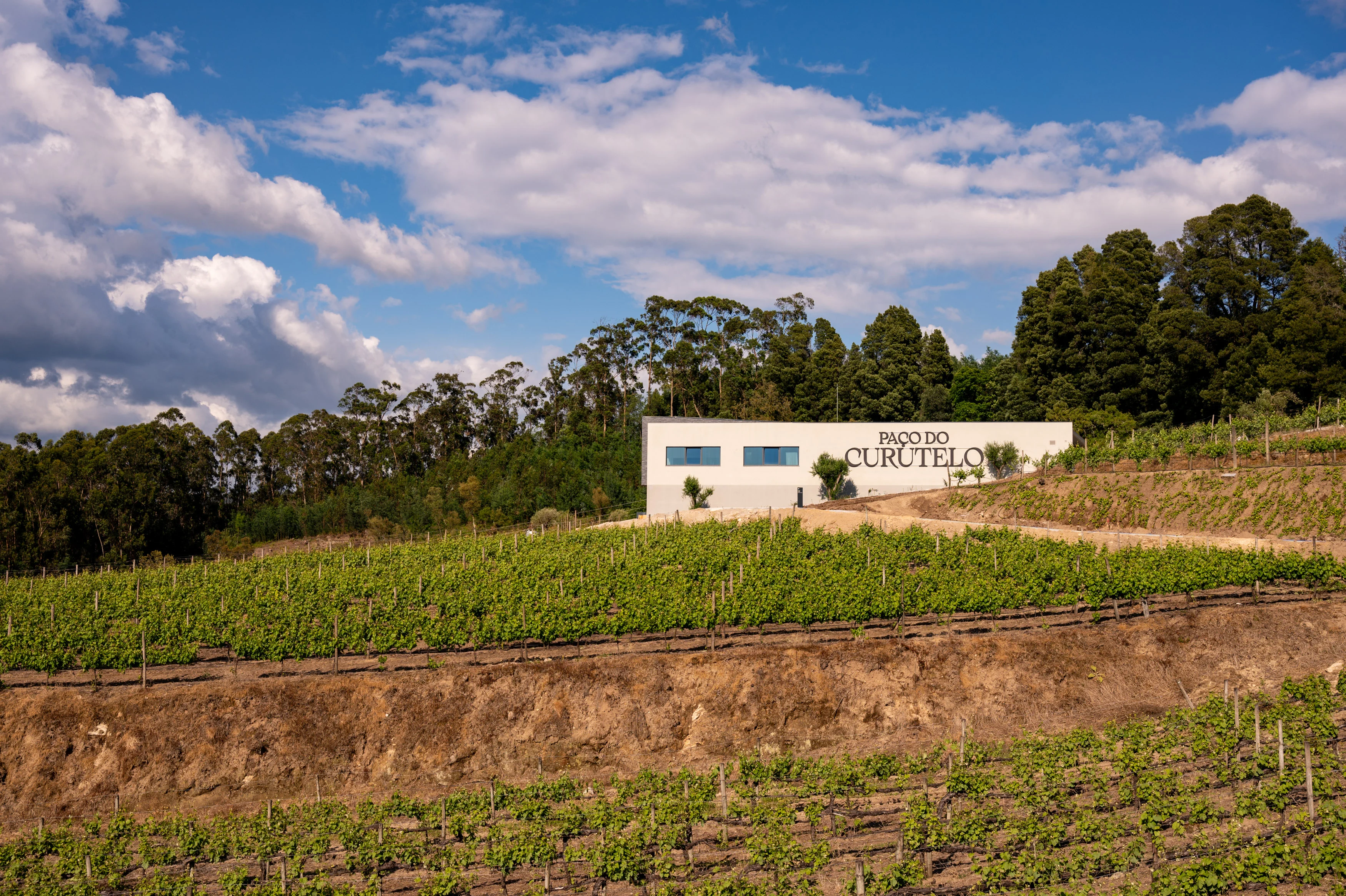 Paço do Curutelo – Programa de Vindimas