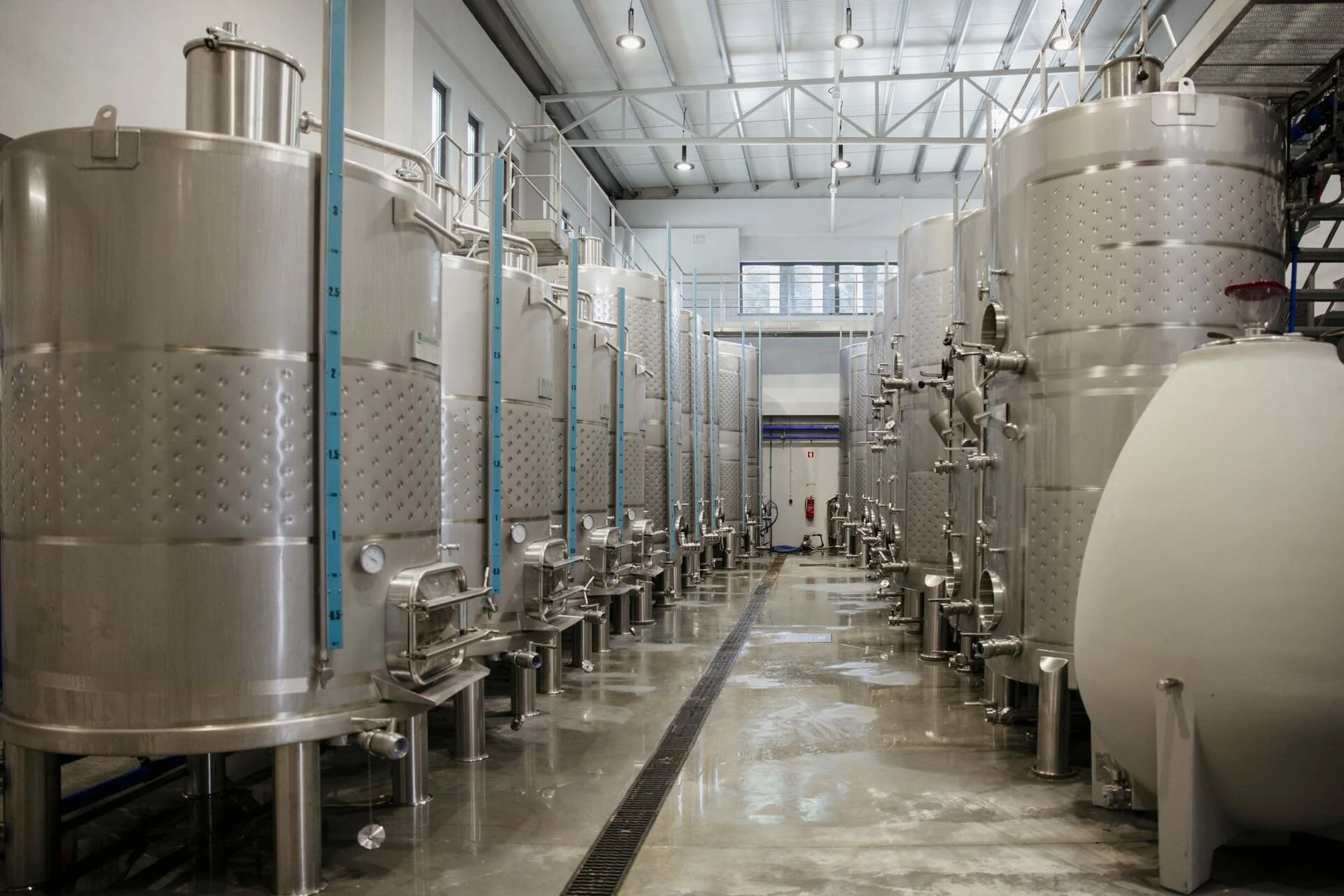 Paço do Curutelo – Programa de Vindimas