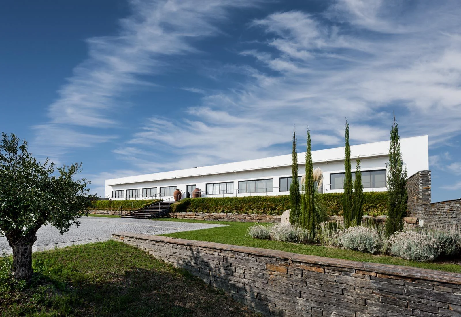 Ribafreixo Wines – Piquenique nas Vinhas