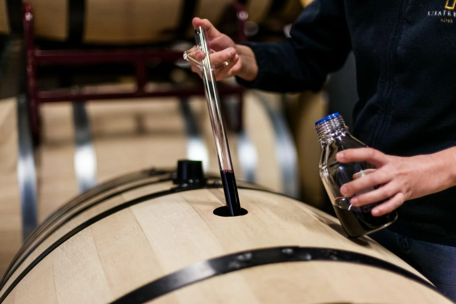 Ribafreixo Wines – Piquenique nas Vinhas