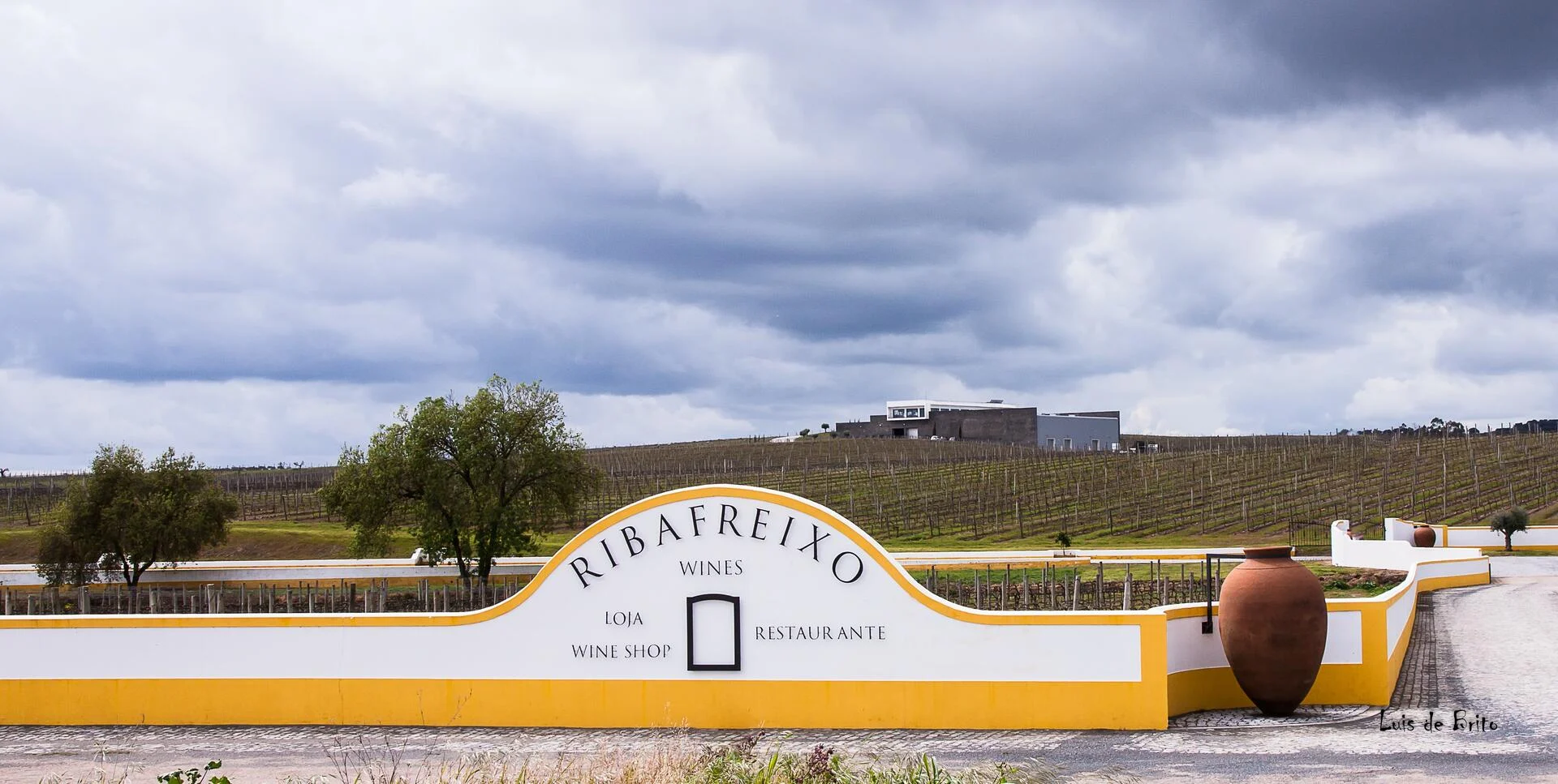 Ribafreixo Wines – Piquenique nas Vinhas