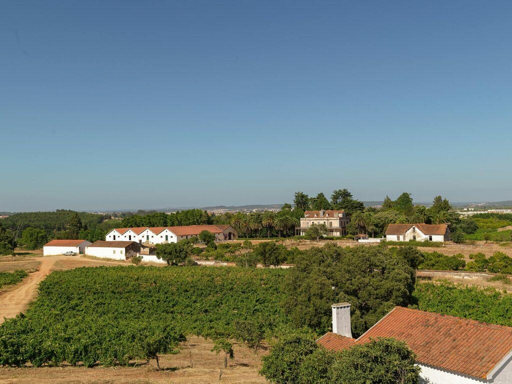 Quinta São João Batista – Caminhada & Piquenique