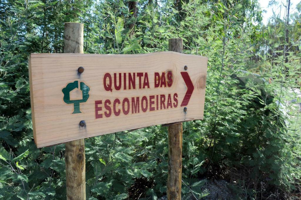 Quinta das Escomoeiras – Visita & Almoço