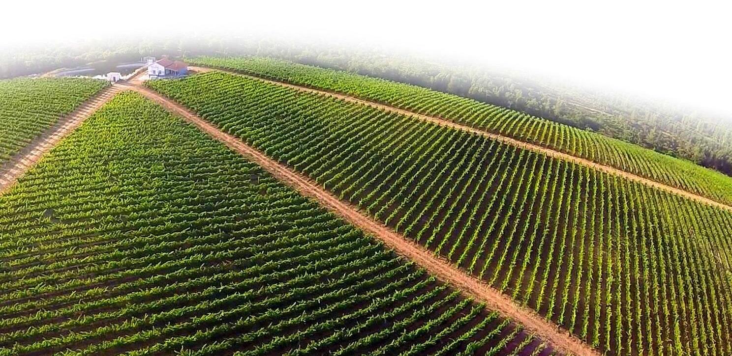 Herdade dos Templários – Visita & Prova Reserva