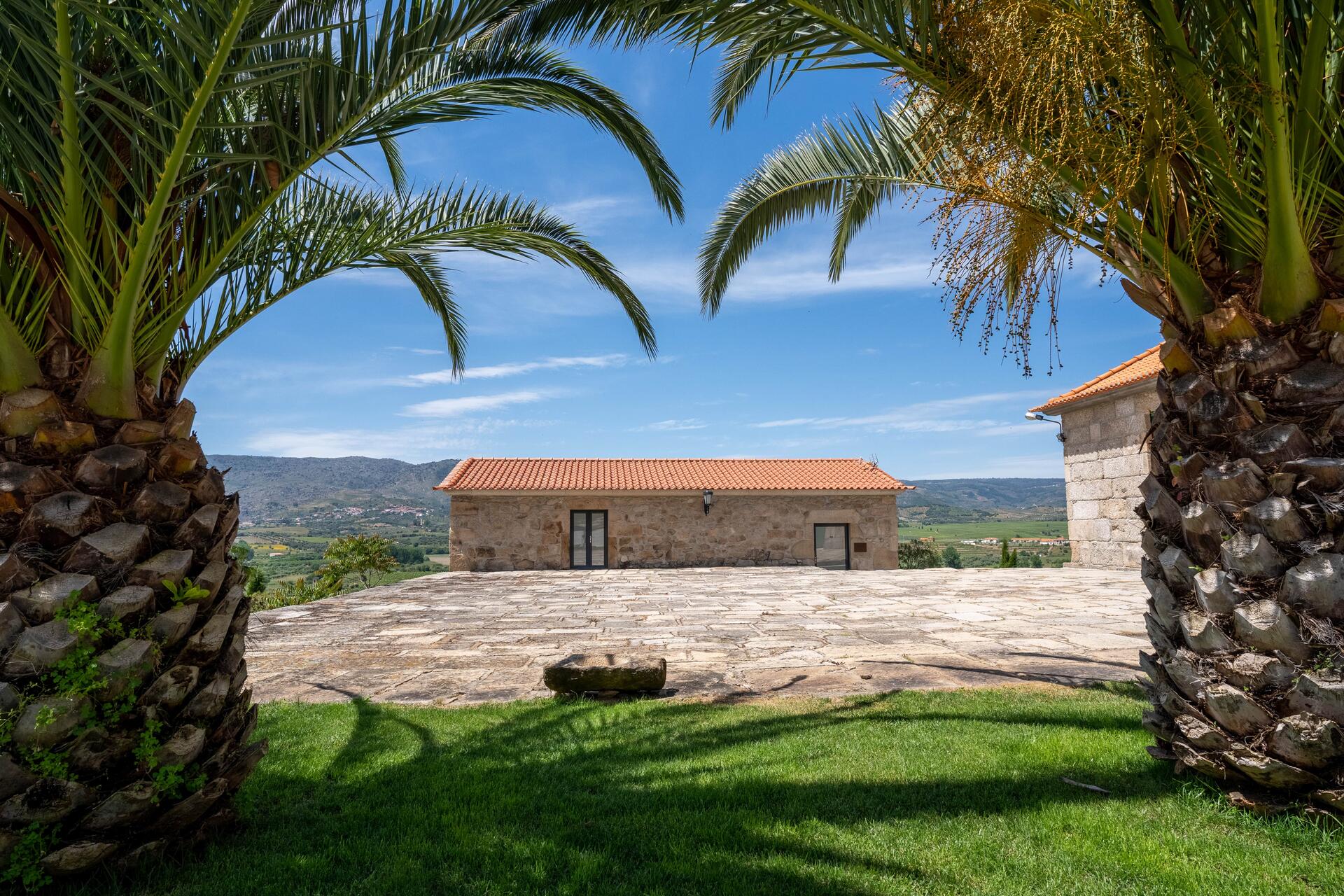 Quinta da Terrincha – Prova Wine Curious