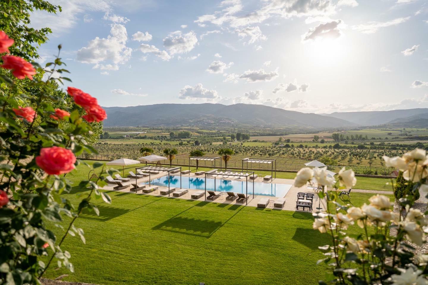 Quinta da Terrincha – Prova Wine Curious