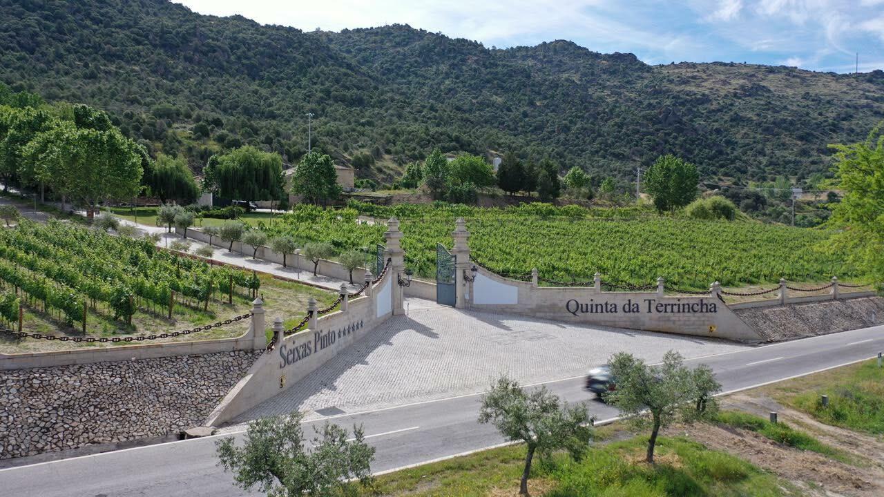 Quinta da Terrincha – Prova Wine Curious
