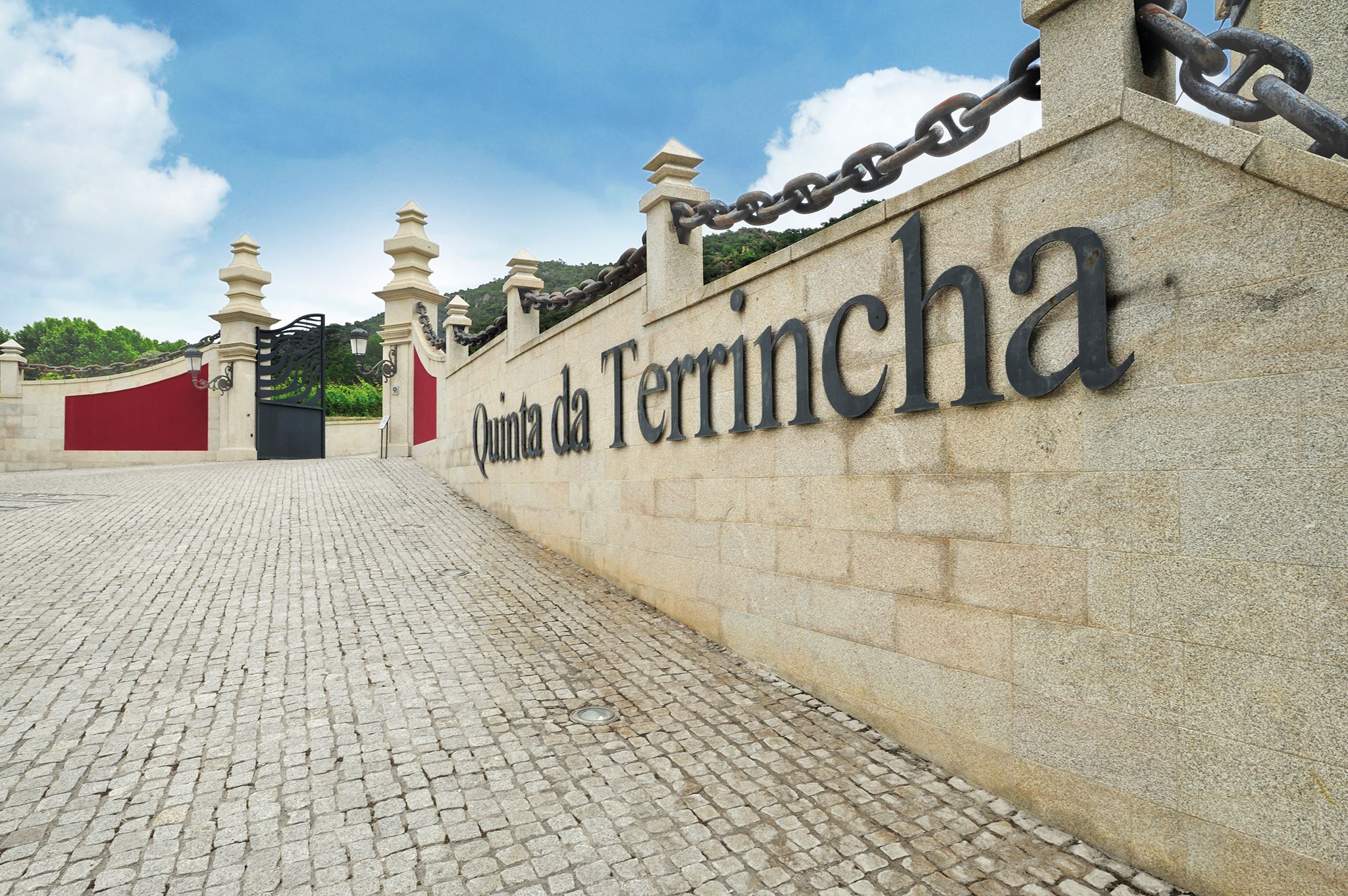 Quinta da Terrincha – Prova Wine Curious