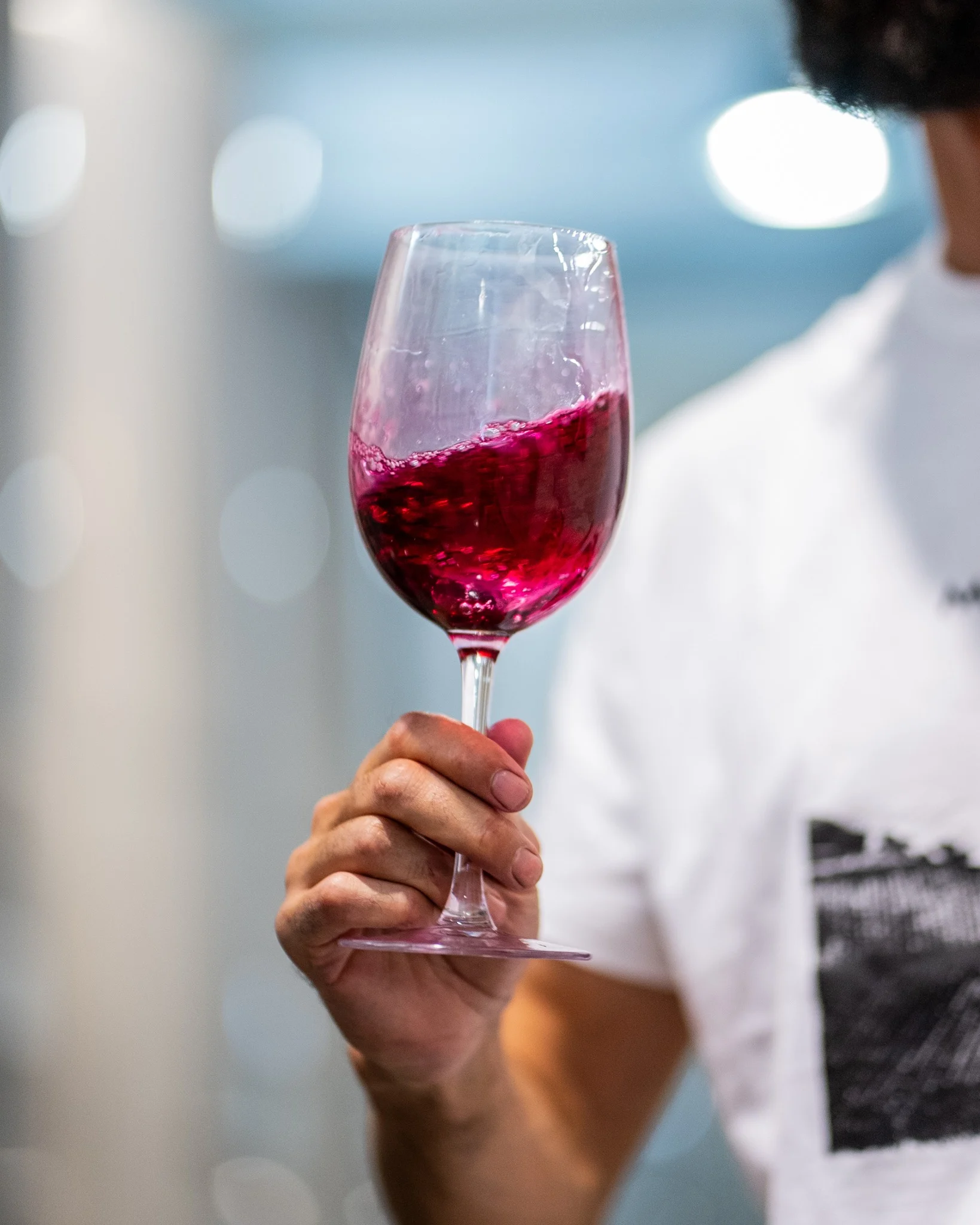 A Arte dos Vinhos Alentejanos