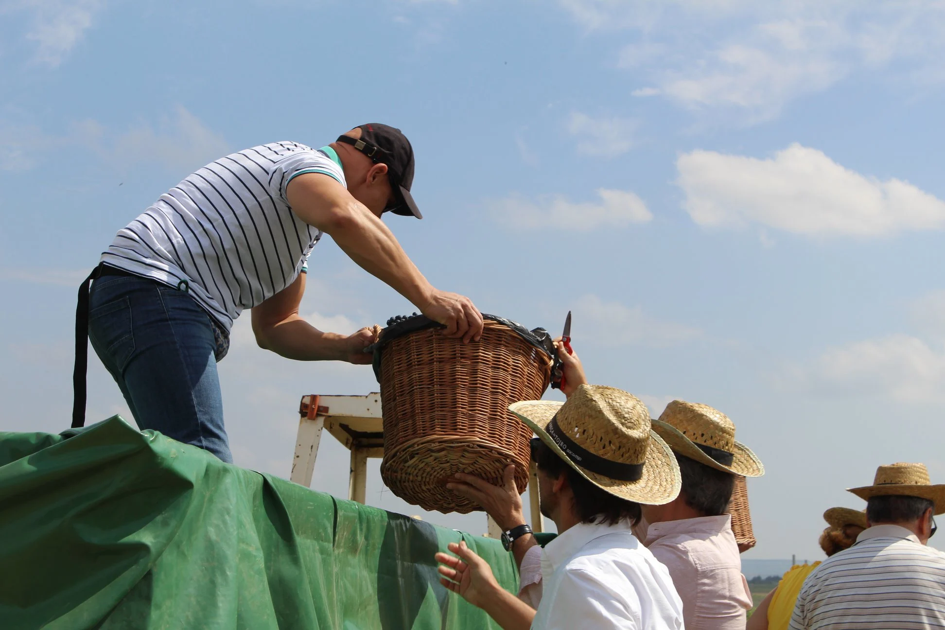 Quinta São João Batista – Um Dia na Vindima