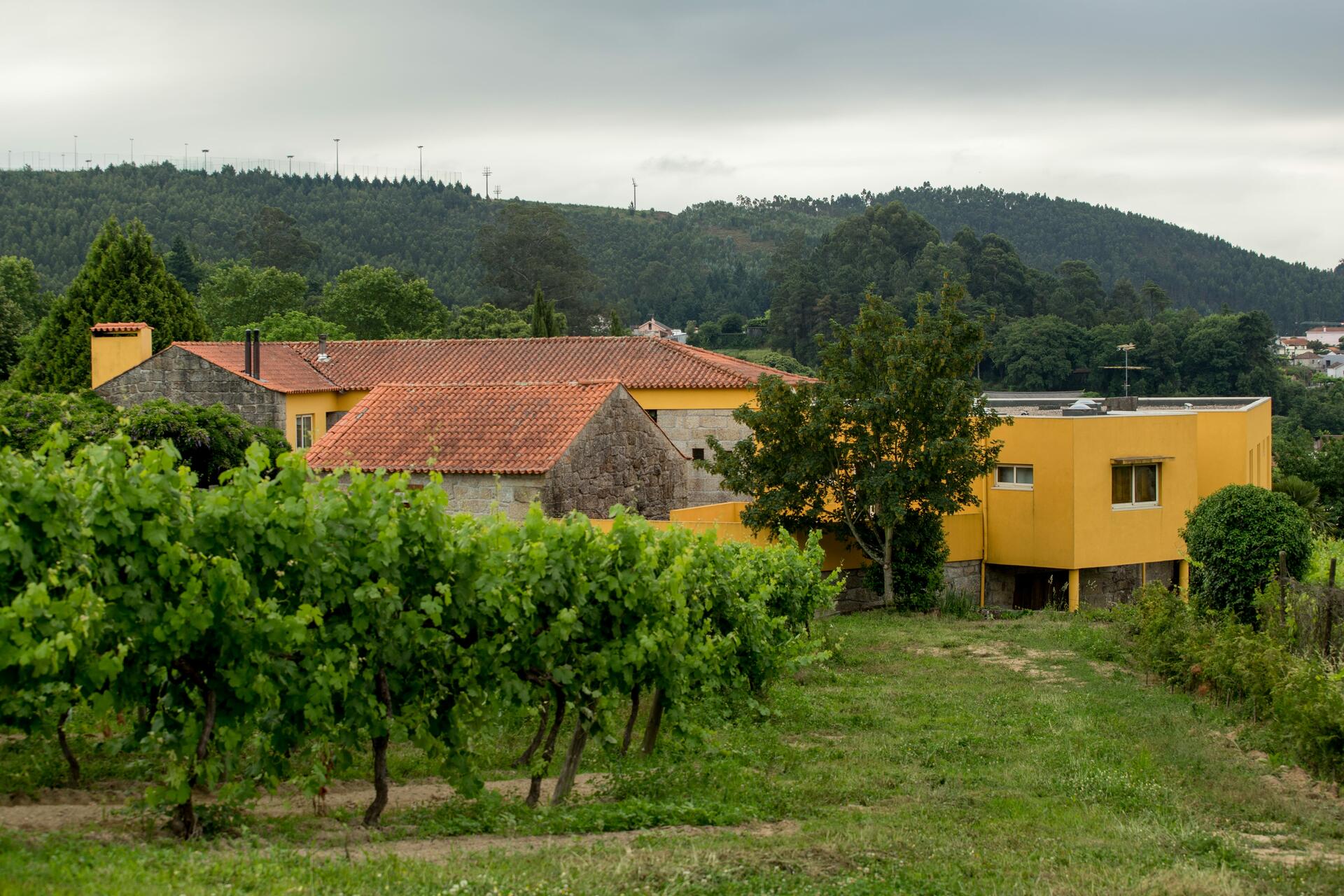 Quinta de Lourosa – Visita & Prova de Vinhos