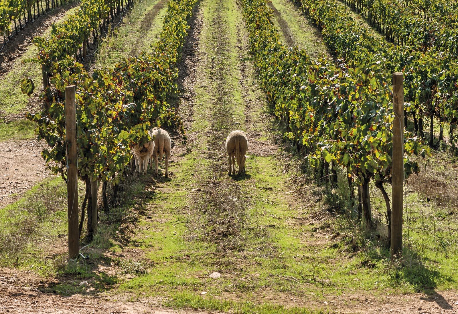 Casa Relvas – Rota da Biodiversidade