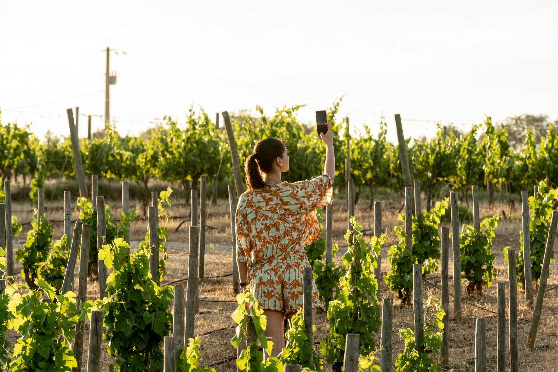 Casa Relvas – Programa de Vindima