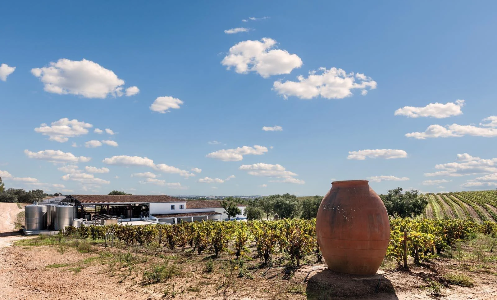 Casa Relvas – Rota da Biodiversidade