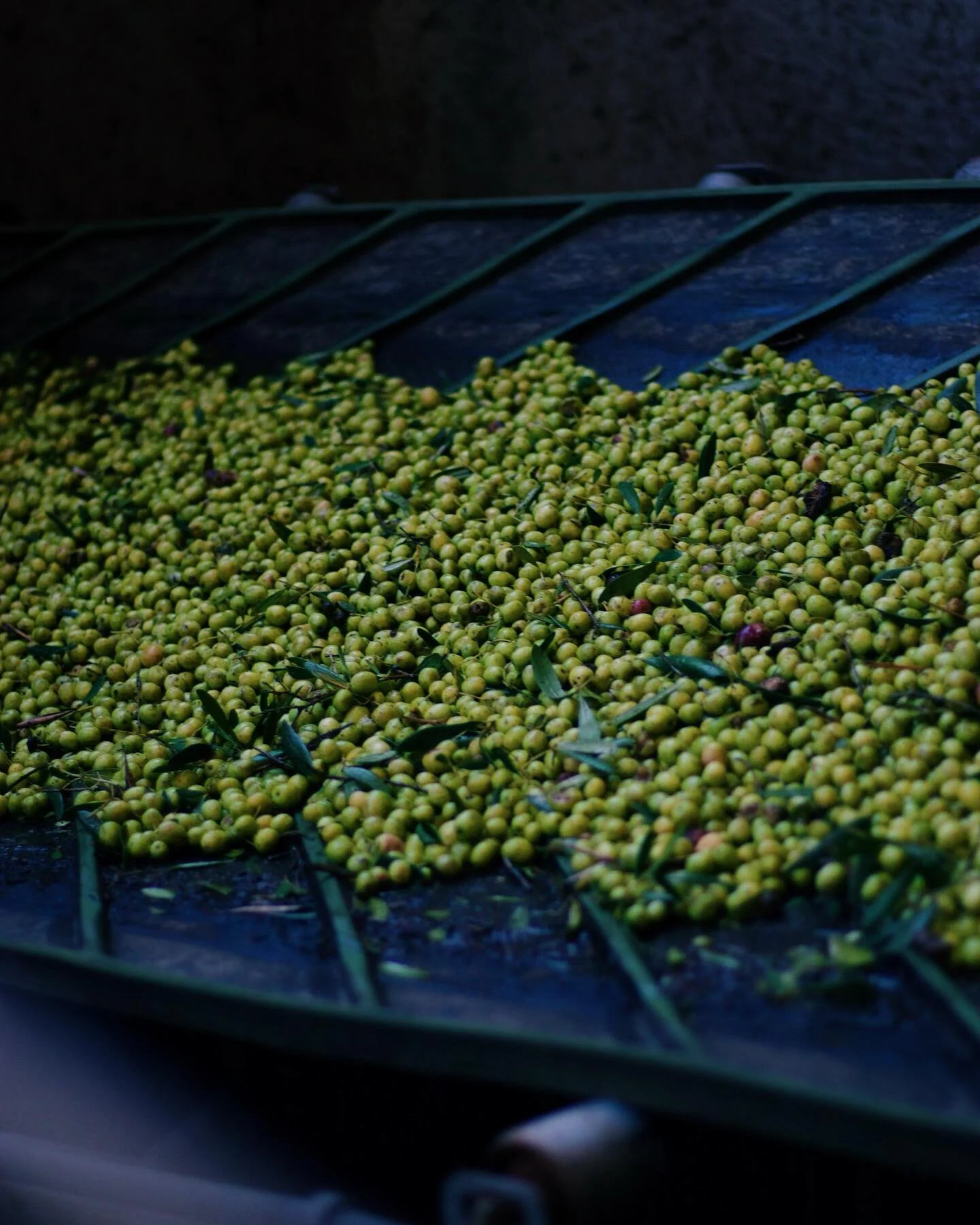 Casa Relvas – Experiência Gastronómica no Lagar