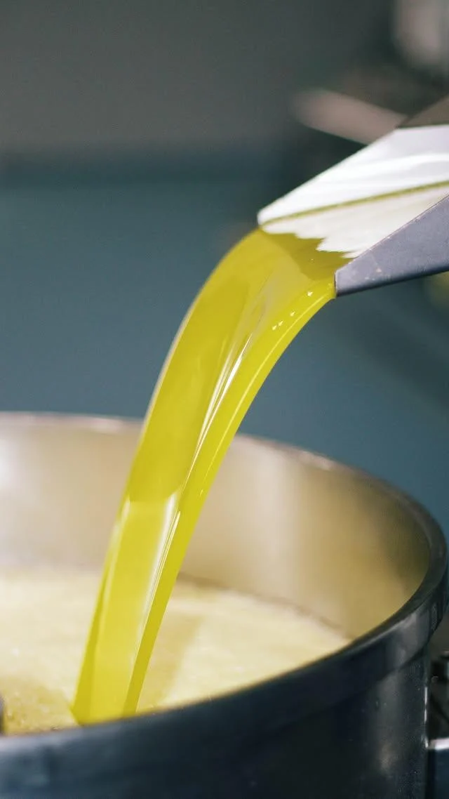 Casa Relvas – Prova de Vinhos & Azeites no Lagar