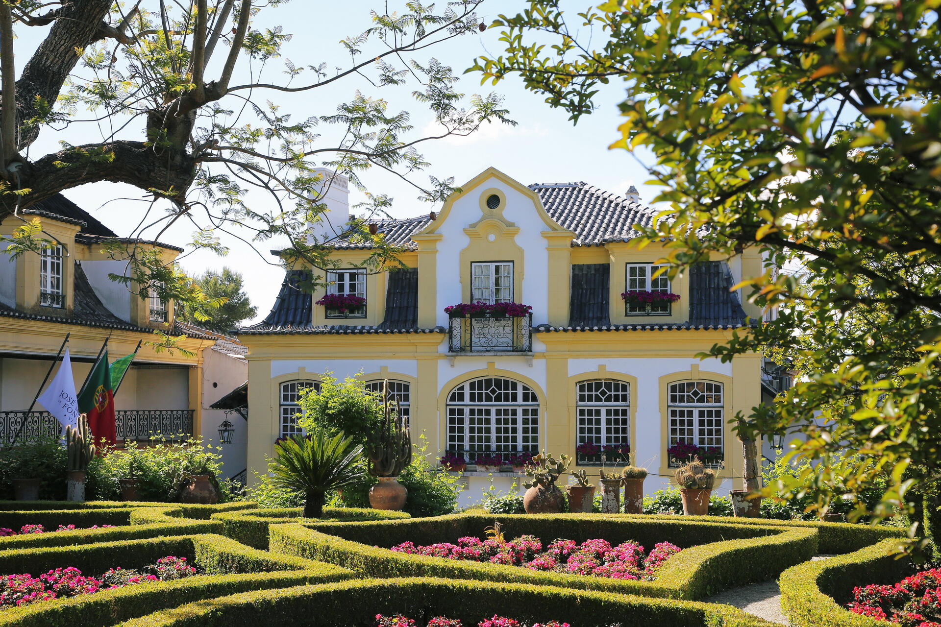 José Maria da Fonseca – Moscatéis Especiais