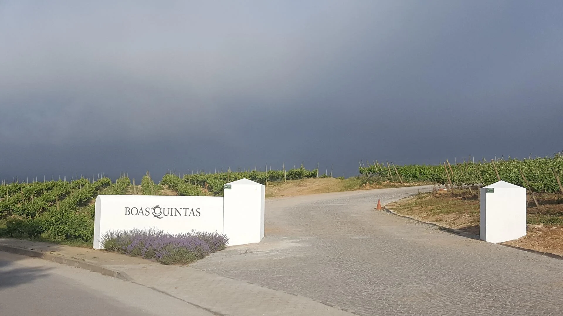 Boas Quintas – Quinta da Giesta