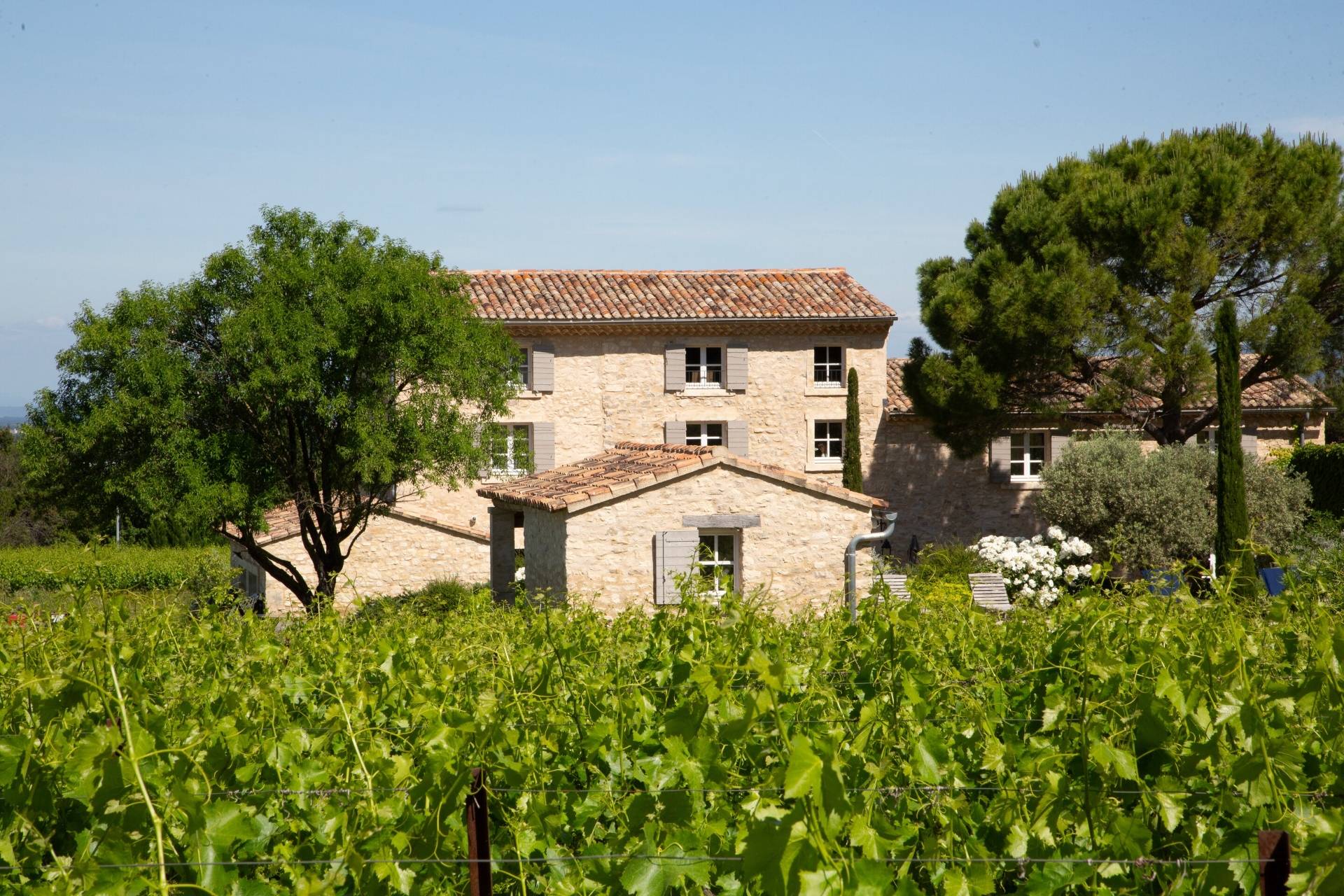 DOMAINE DU CHAT BLANC