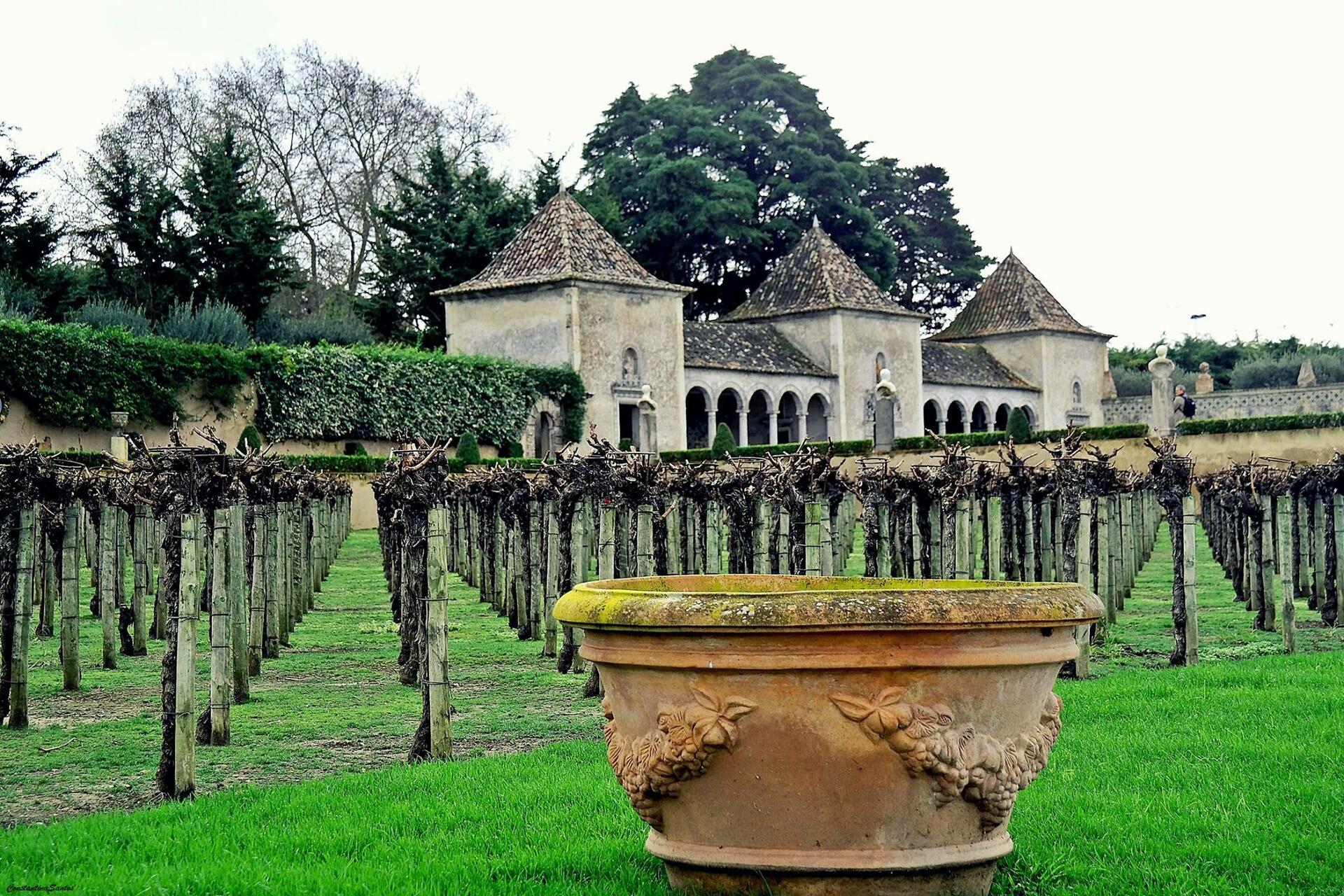 Palácio da Bacalhôa – Prova D. Carlos I
