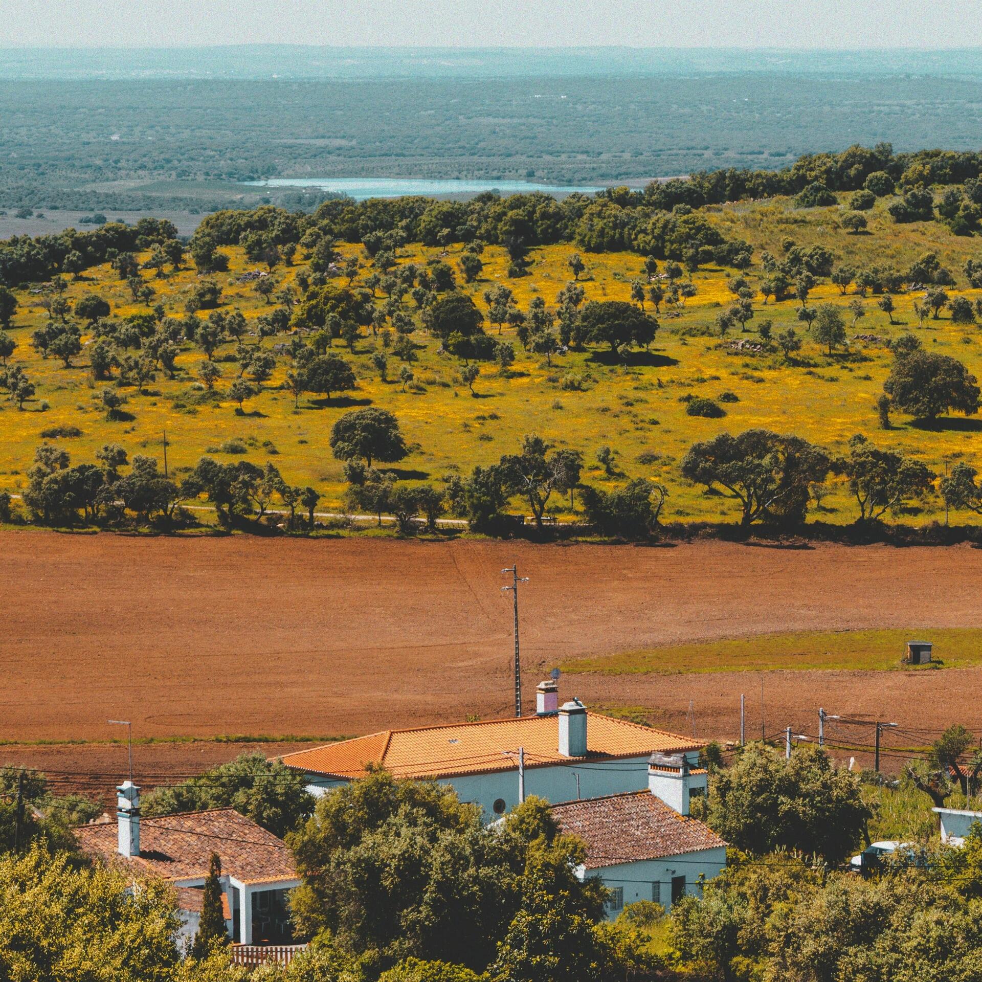 Pista Wines – Prova Tapada da Fonte