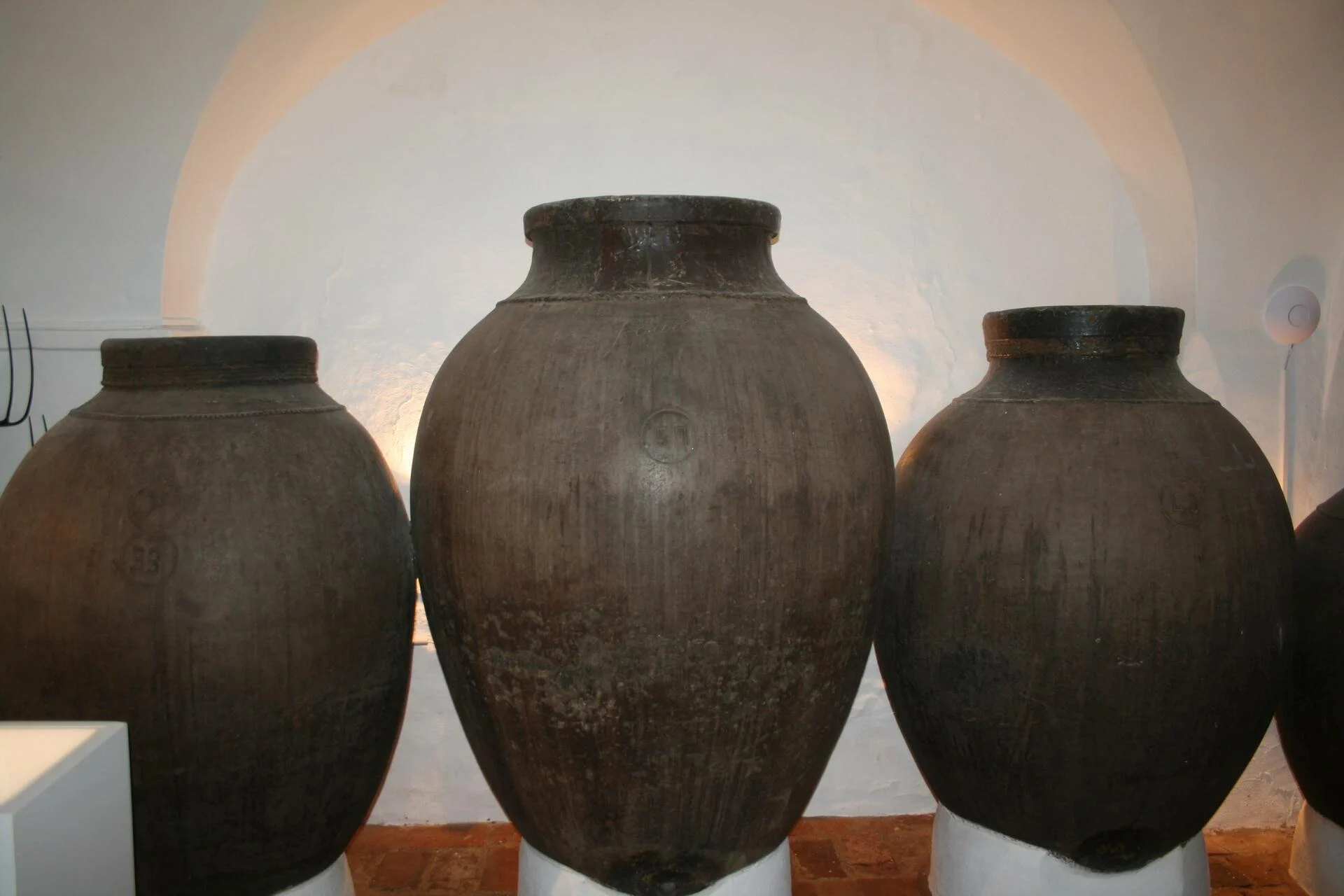 Casa Museu Interativa de Borba – Visita & Prova