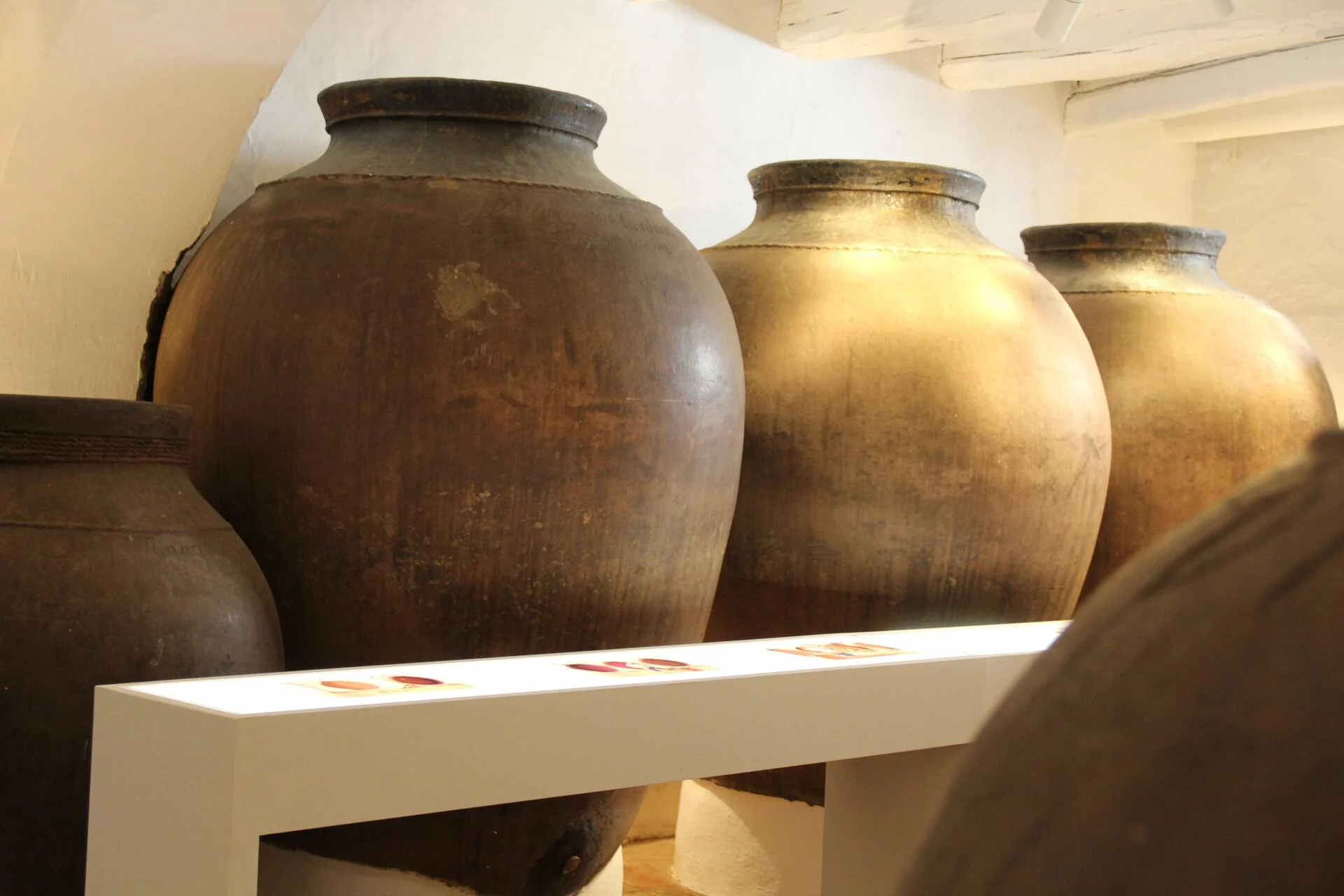 Casa Museu Interativa de Borba – Visita & Prova