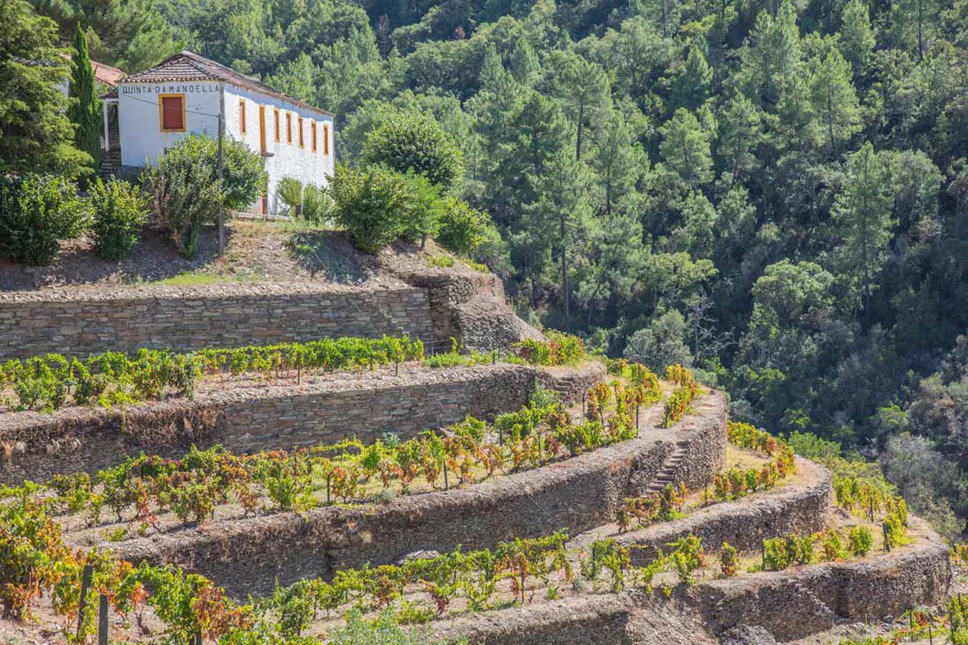 Tour Privado ao Vale do Douro