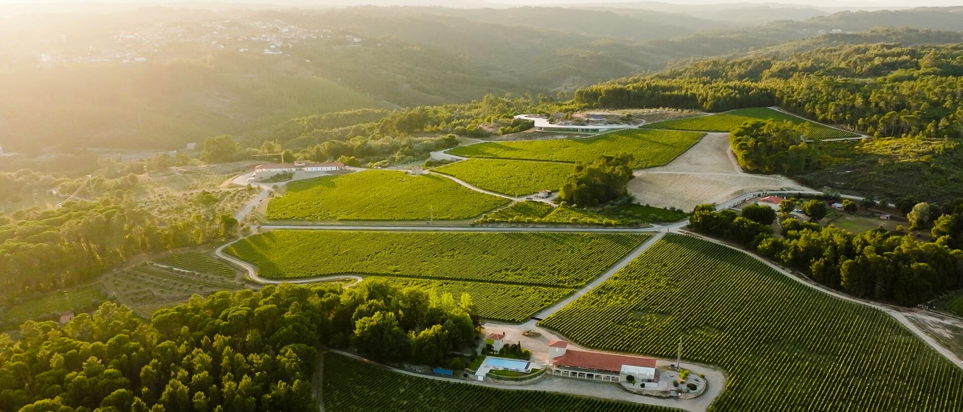 Experiência Gastronómica – Chef Diogo Rocha