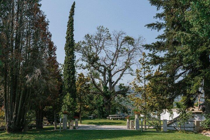Tour Privado à Região dos Vinhos Verdes e Douro