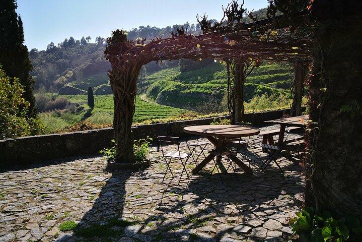 Tour Privado à Região dos Vinhos Verdes e Douro