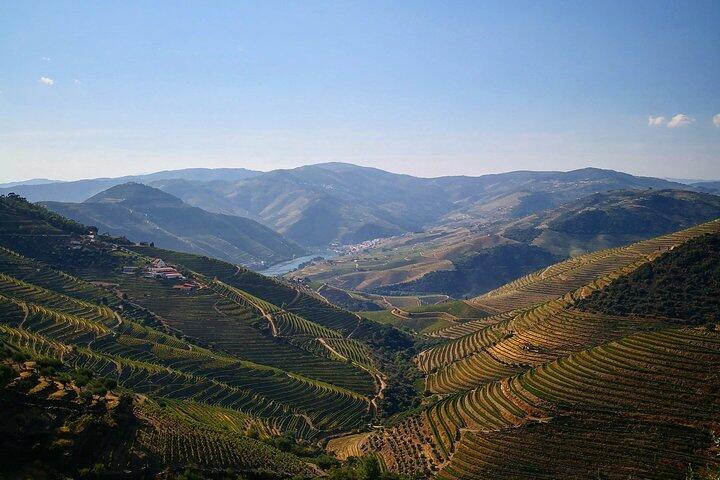 Tour Privado à Região dos Vinhos Verdes e Douro