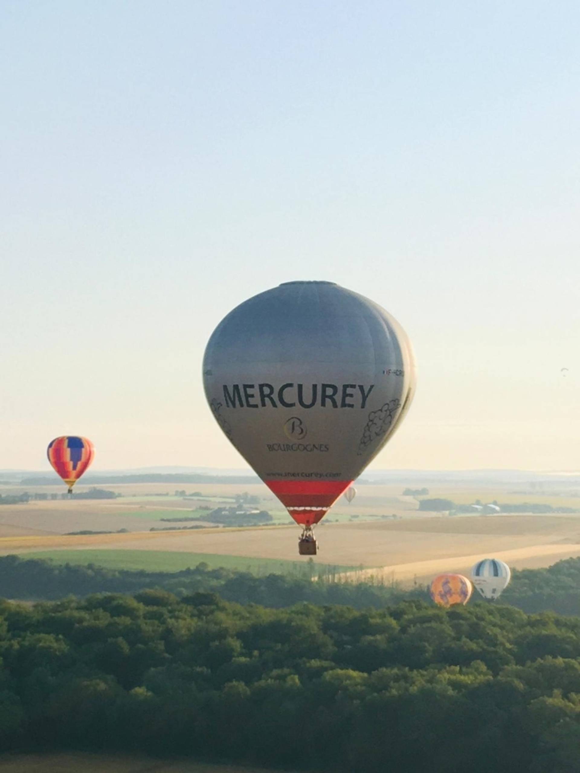 Hot air balloon flight in Burgundy with a winemaker