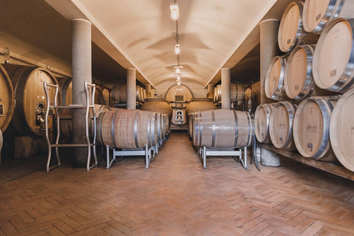 Authentic Visit and Tasting at Cinciole