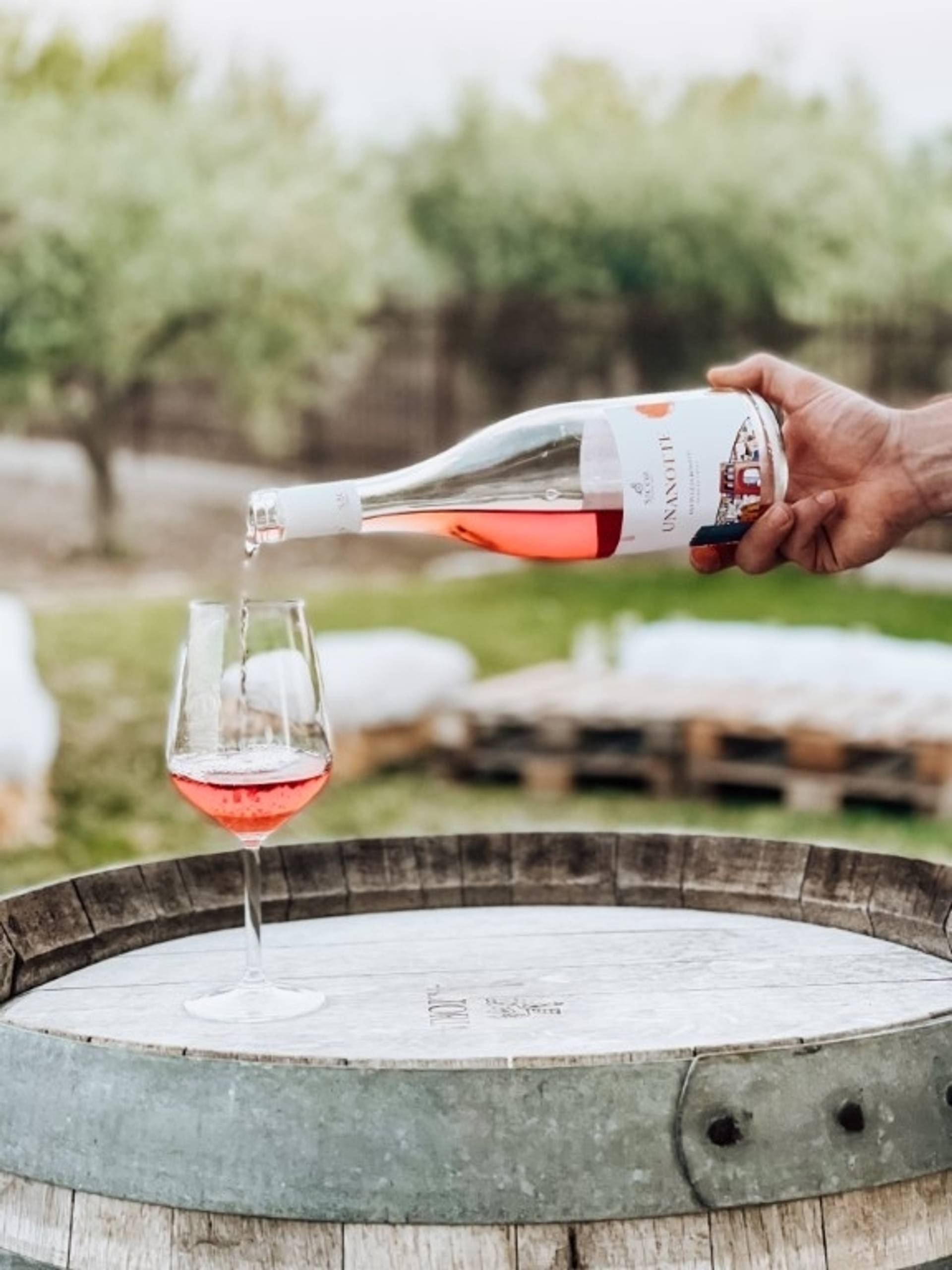 Premium visit of our company