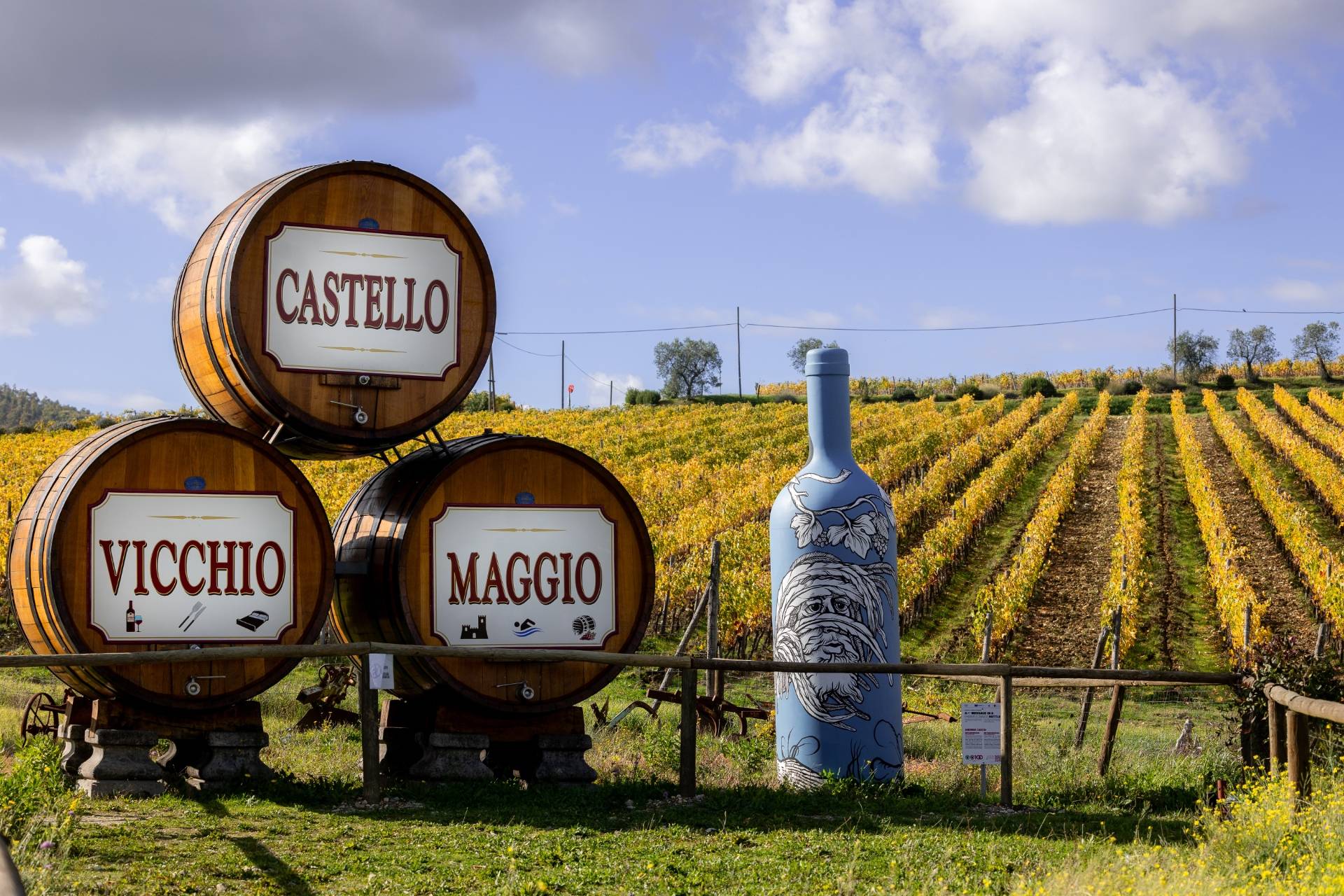 Sommelier’s Finest wine tasting