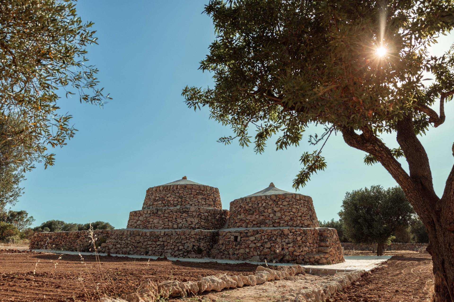 Flavors of Puglia: Winery Tour and Dinner in the Vineyard