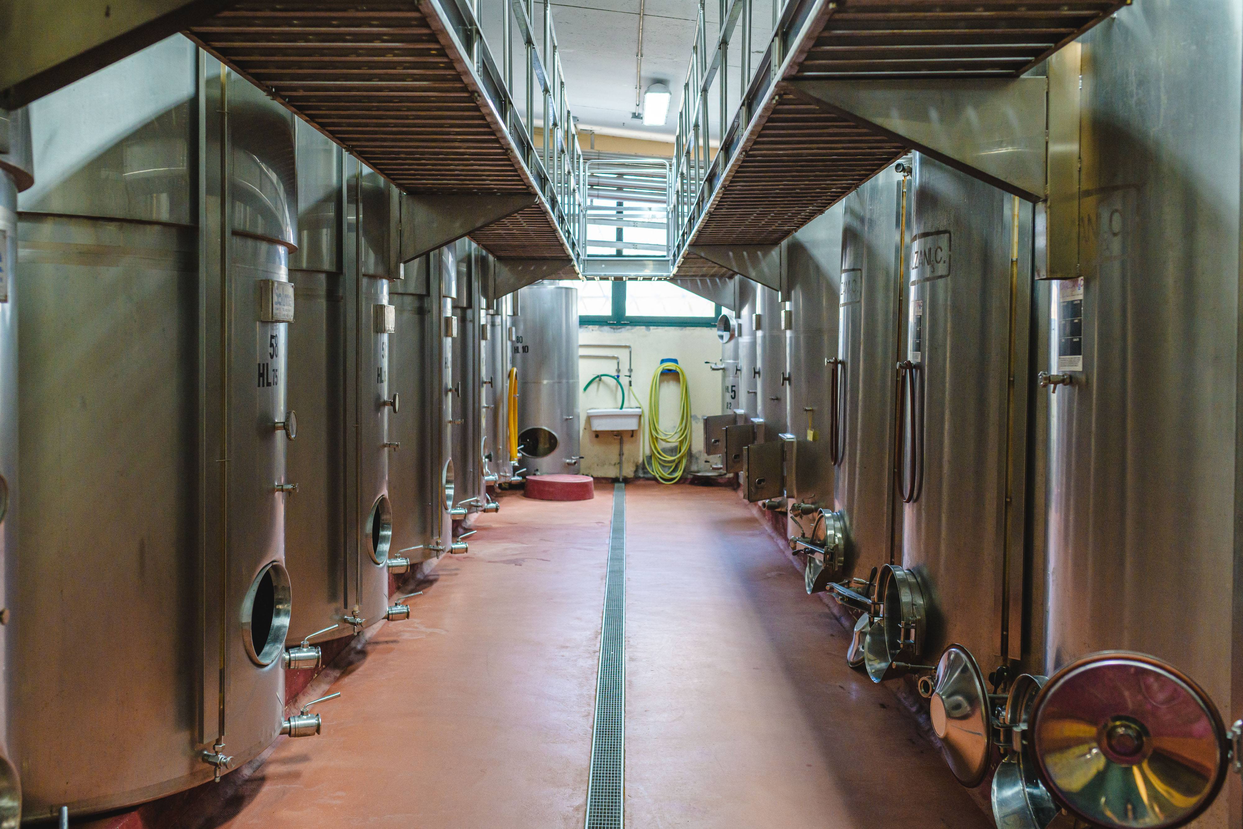 Olive Oil and Flavored Oils Tasting