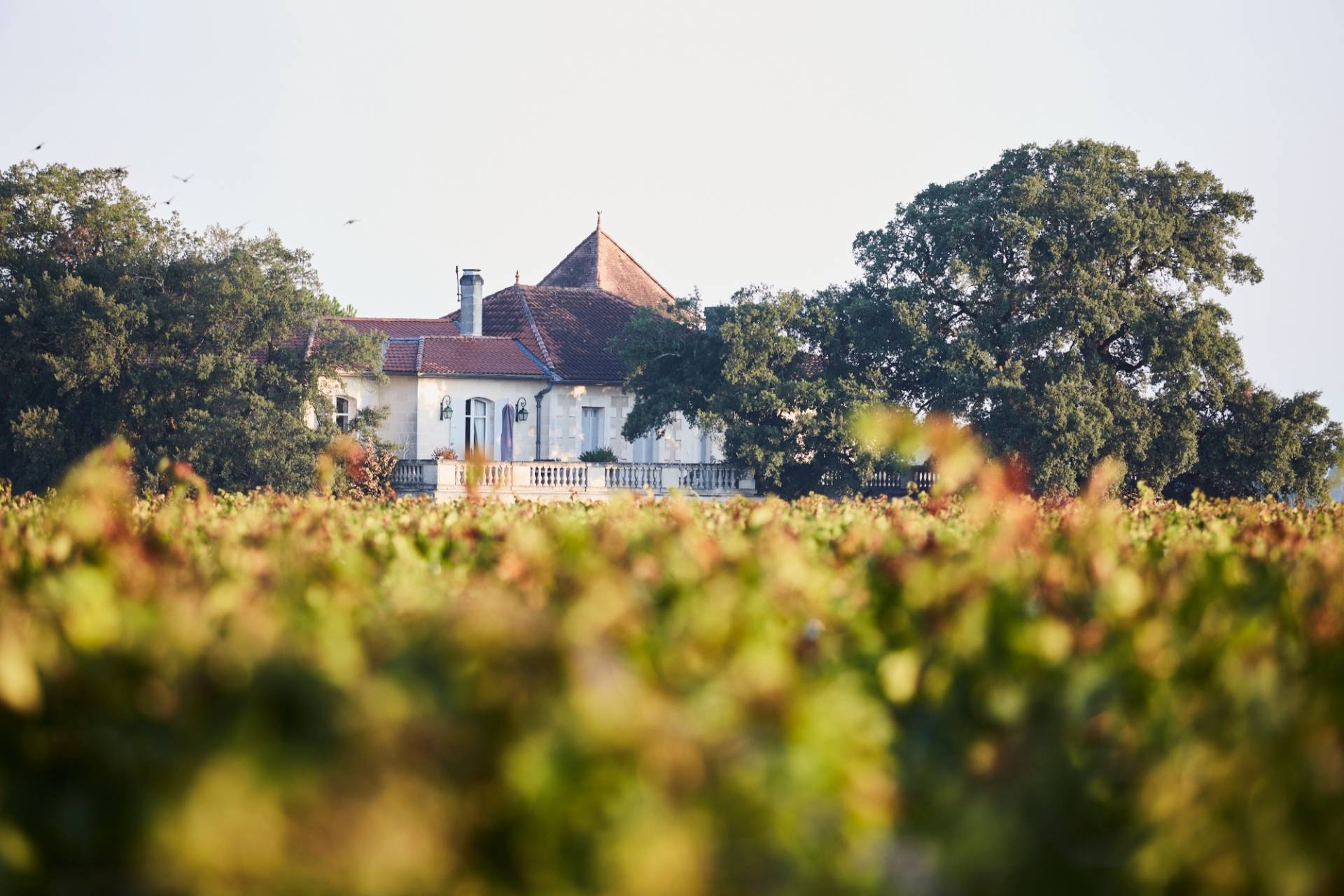 CHÂTEAU CHÊNE LIÈGE