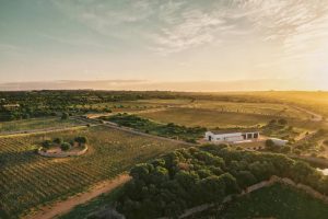 BODEGAS TORRALBENC VELL