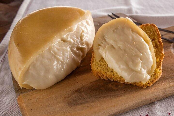 Tour Premium Privado na Região do Dão