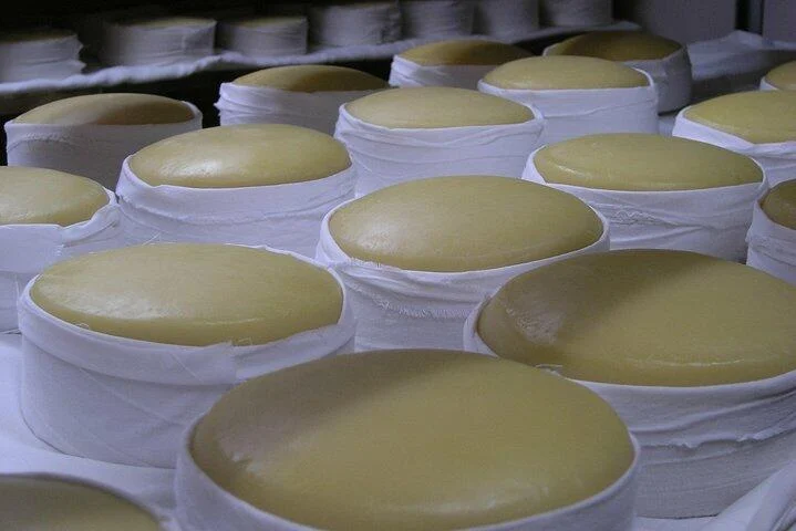 Tour Premium Privado na Região do Dão