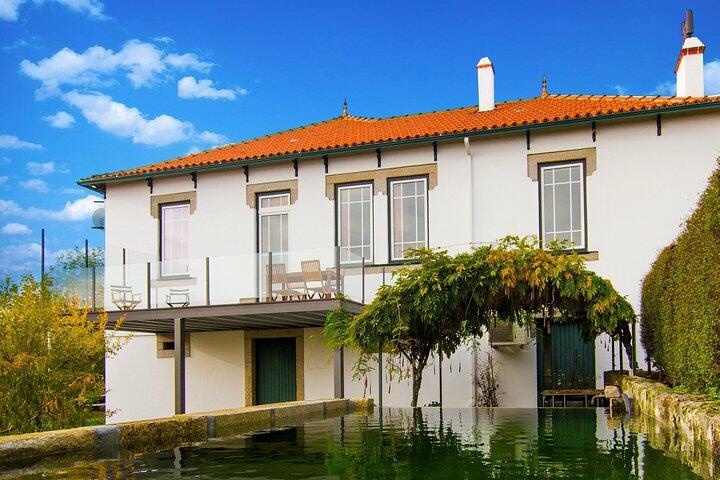 Tour Premium Privado na Região do Dão