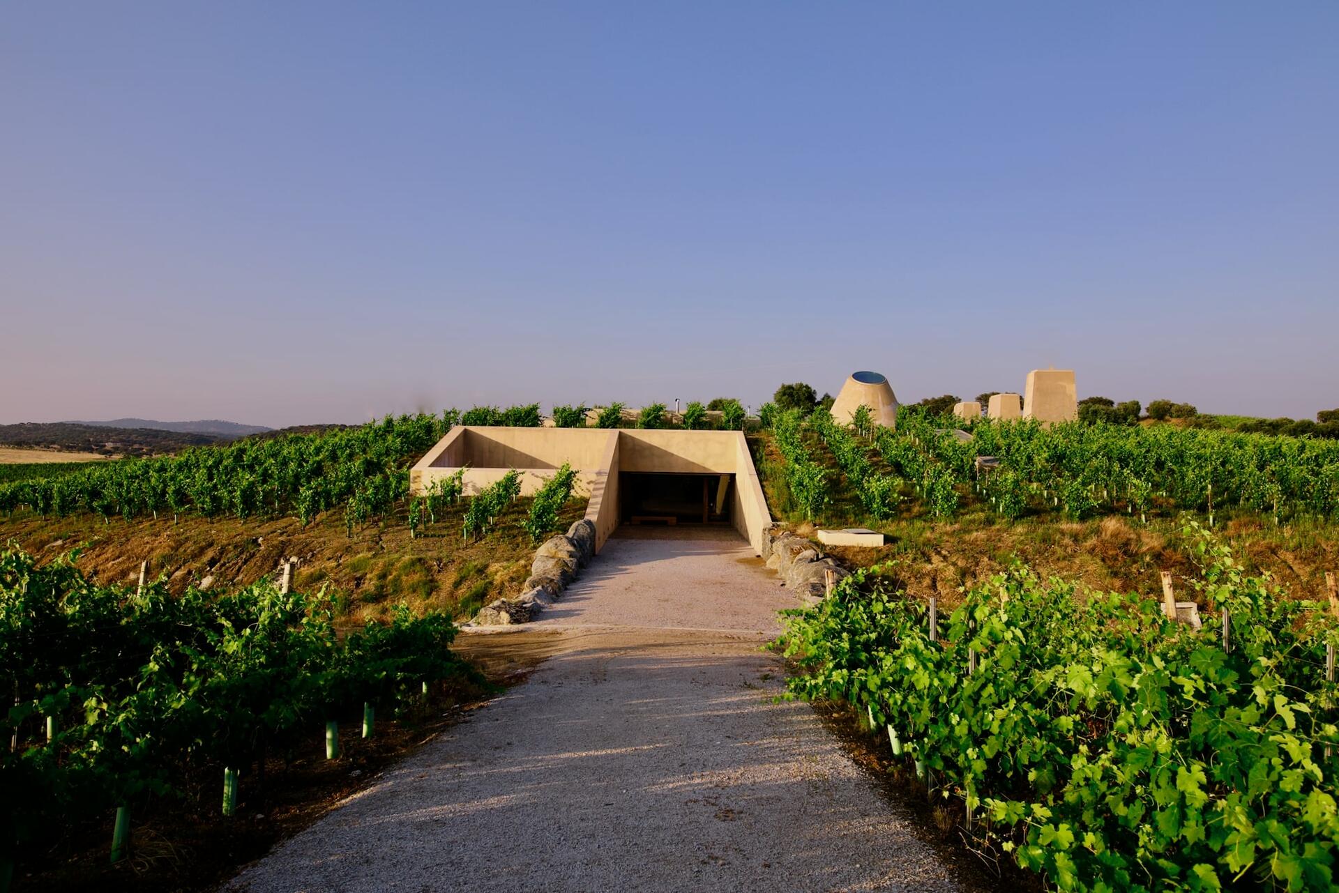 Herdade do Freixo – Visita e Prova 2 Vinhos