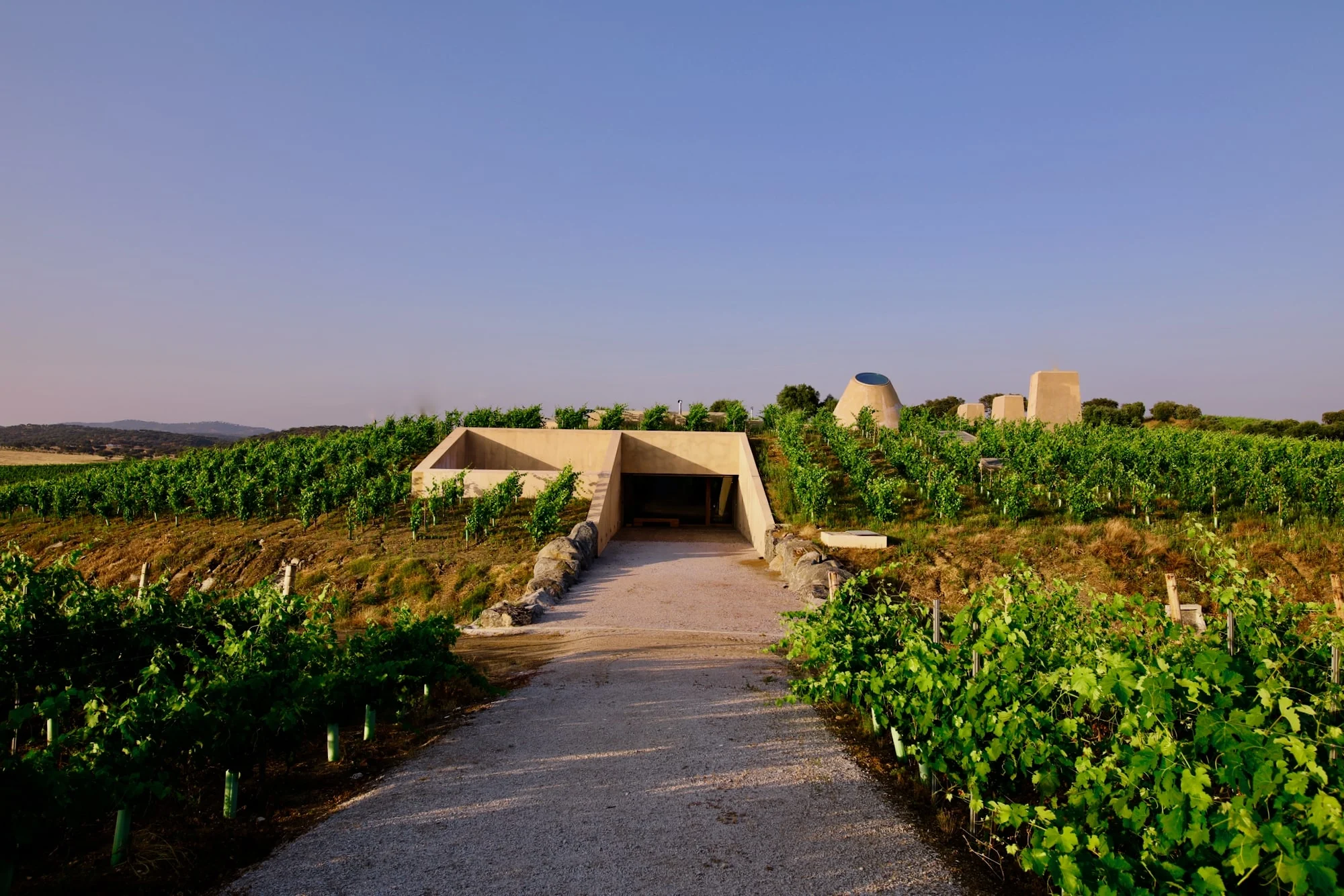 Herdade do Freixo – Visita & Prova 1 Vinho