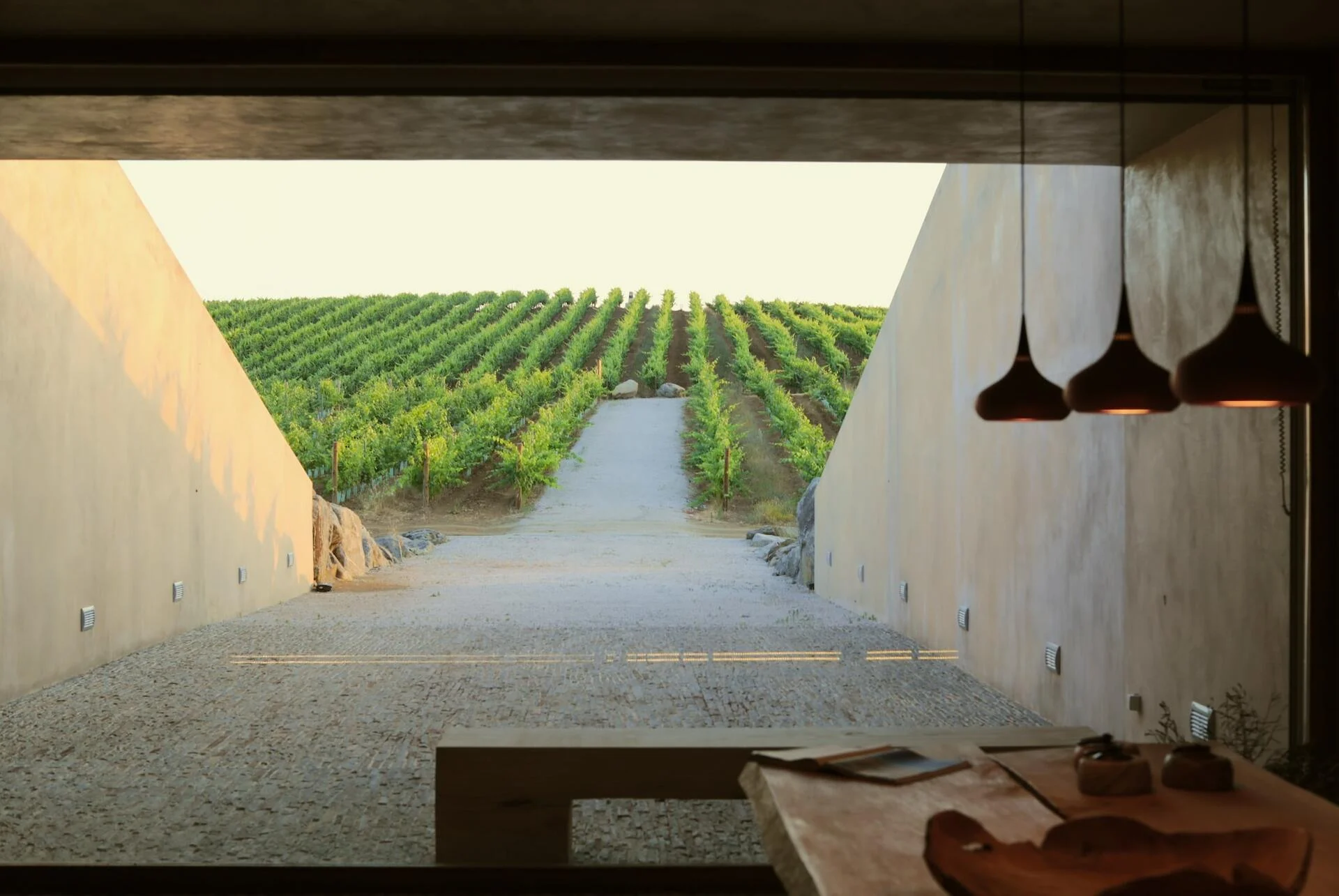 Herdade do Freixo – Visita & Prova 1 Vinho