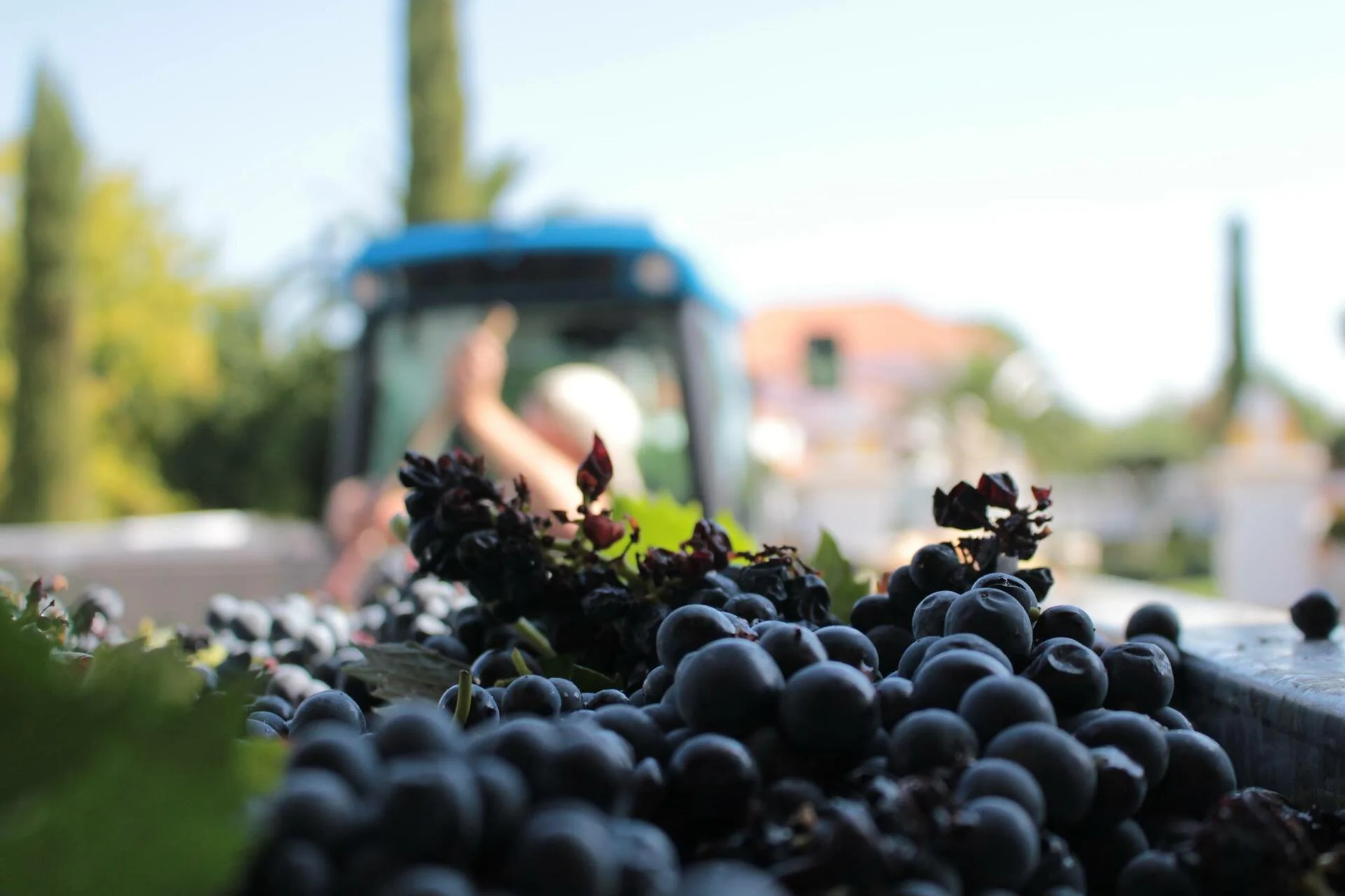 Herdade da Calada – Visita & Prova Nobre