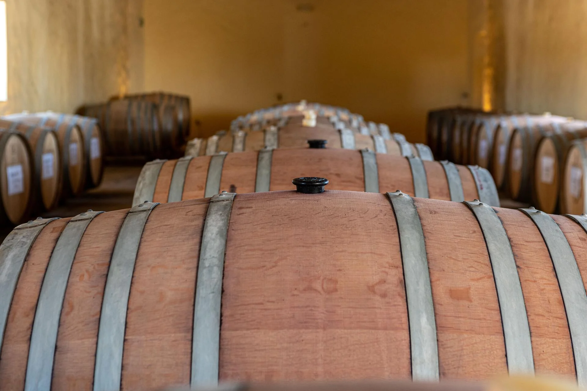 Herdade da Comporta – Visita & Prova Reserva