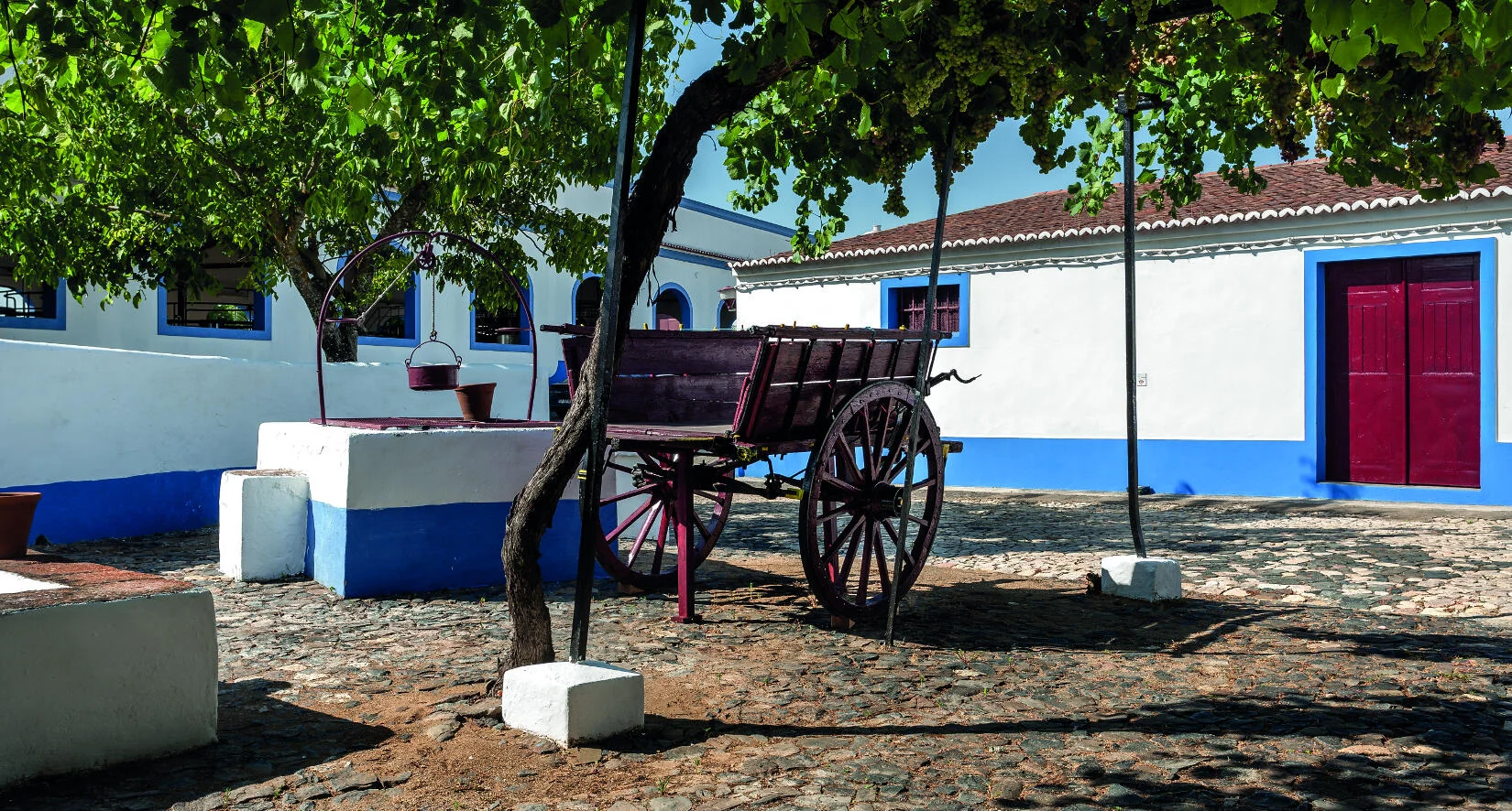 Adega José de Sousa – Experiência Vinho de Talha