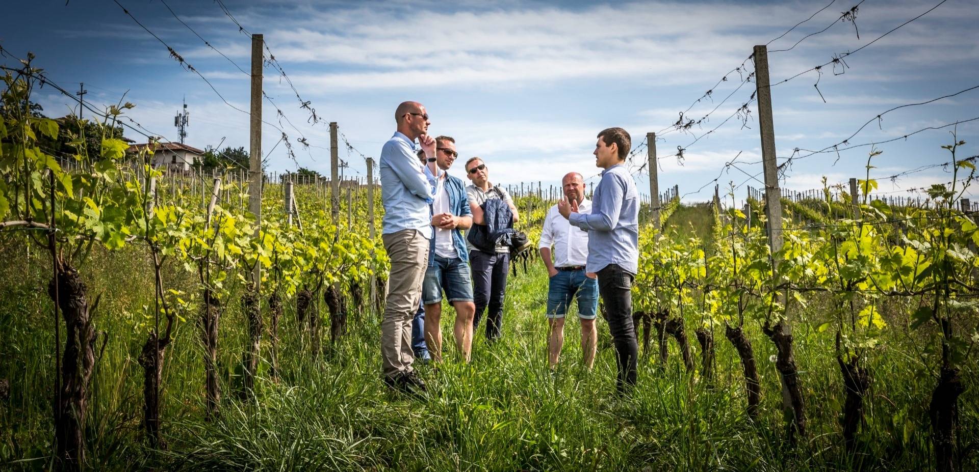 Visit among barrels and vineyards with a 5-wine tasting